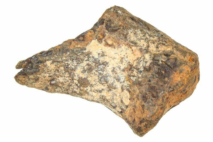 Mundrabilla Iron Meteorite ( g) - Australia #374353
